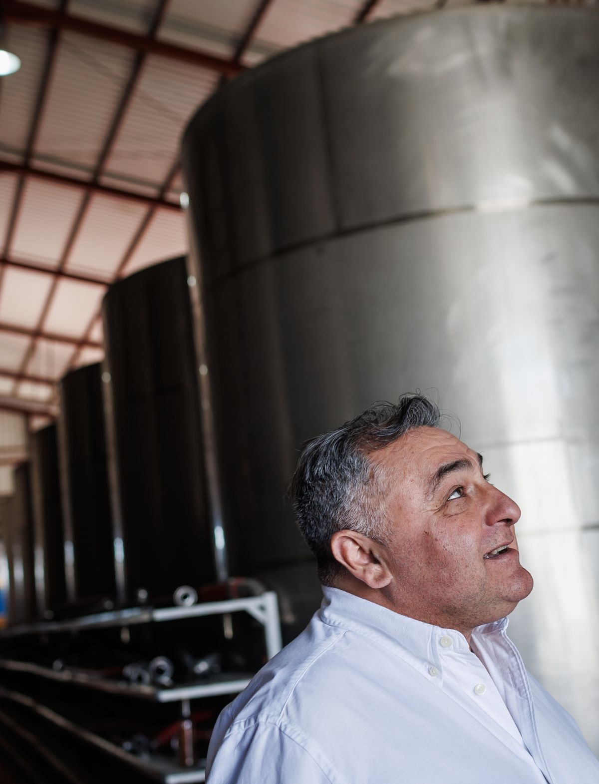 Bodegas Ventura de Vega en Almendralejo